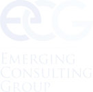 Emerging Consoulting Group